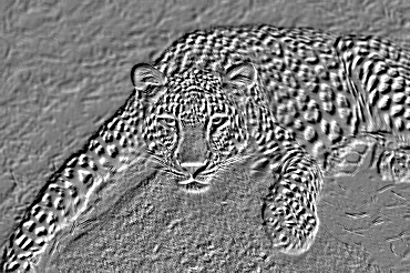 Imagen en relieve final